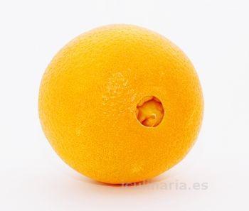 naranja dulce navel | Innova Culinaria